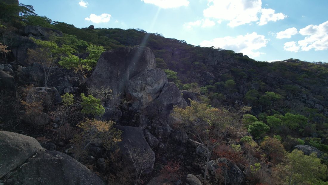 Granite outcrop in forest